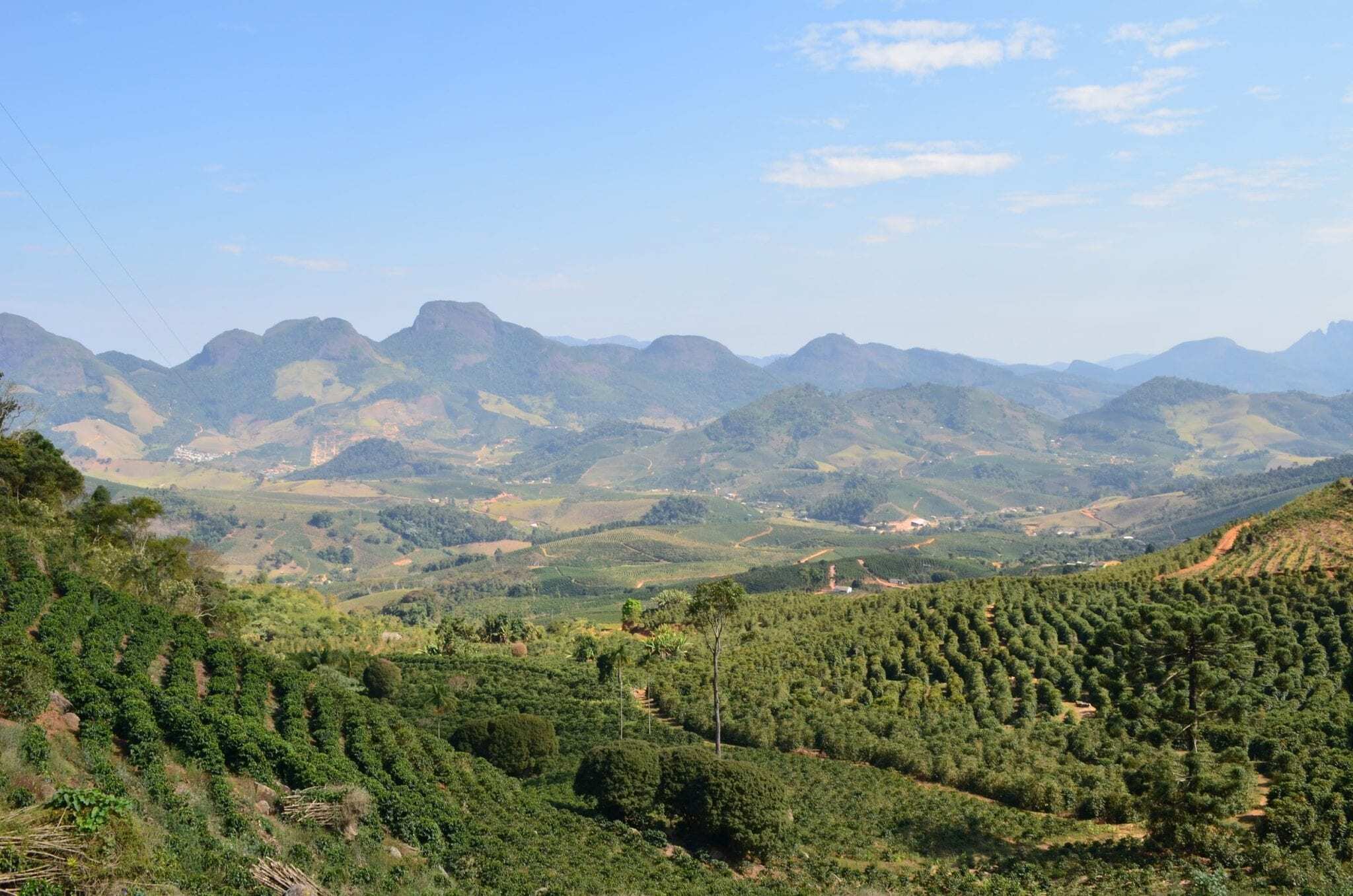 Finca La Soledad Guatemala Found Coffee Drink Better Coffee